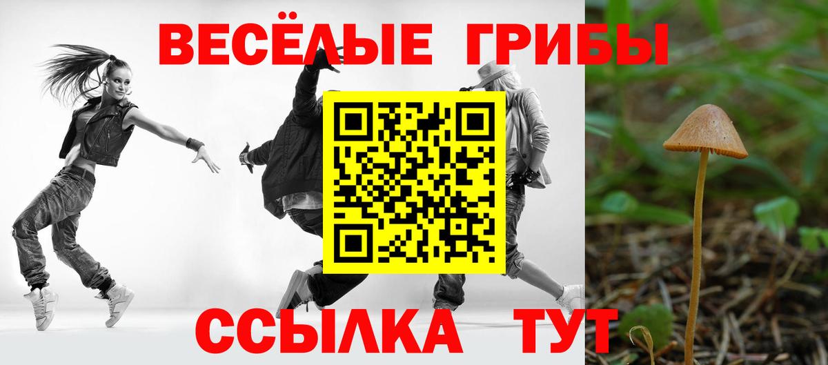 Ачинск  Галлюциногенные грибы мухоморы  Вход с VPN 
